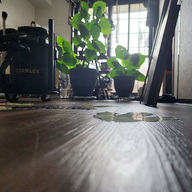 CYNOSさんの実例写真