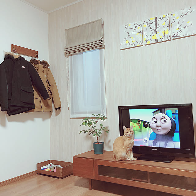 reo..m.aさんの実例写真