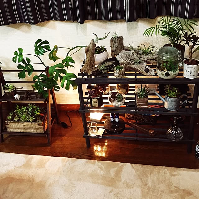 棚/観葉植物/男前/多肉植物/セリア...などのインテリア実例 - 2017-05-24 22:56:32
