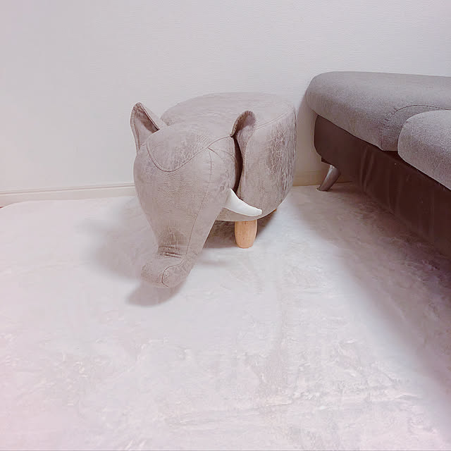 Ruiさんの実例写真