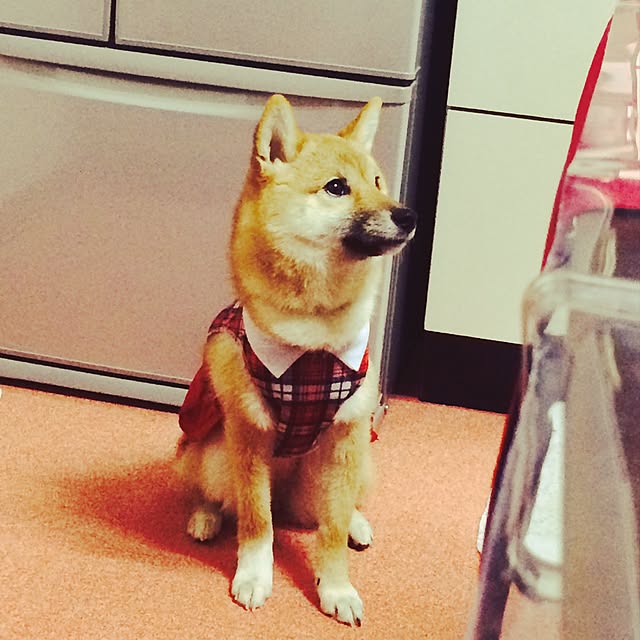 toi114さんの実例写真