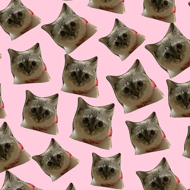 nachuさんの実例写真
