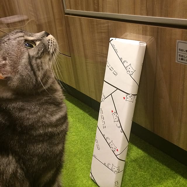 mikomaruさんの実例写真