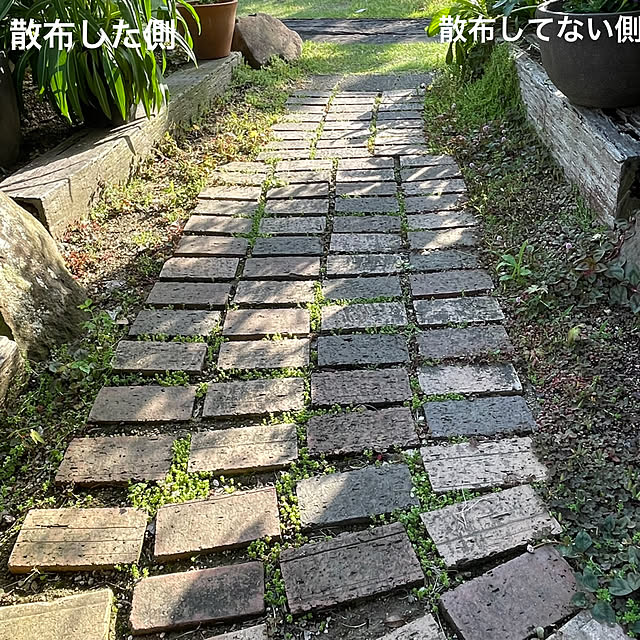 nobikoさんの部屋