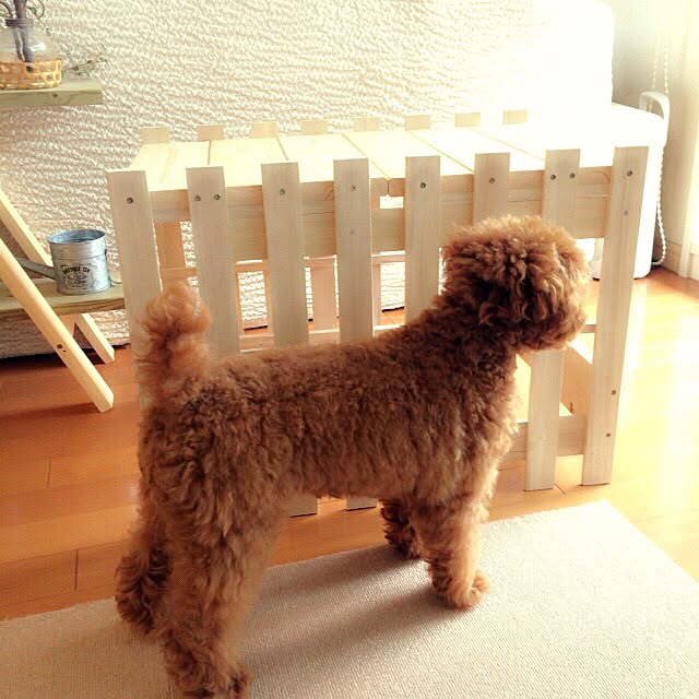ISM.mumさんの実例写真