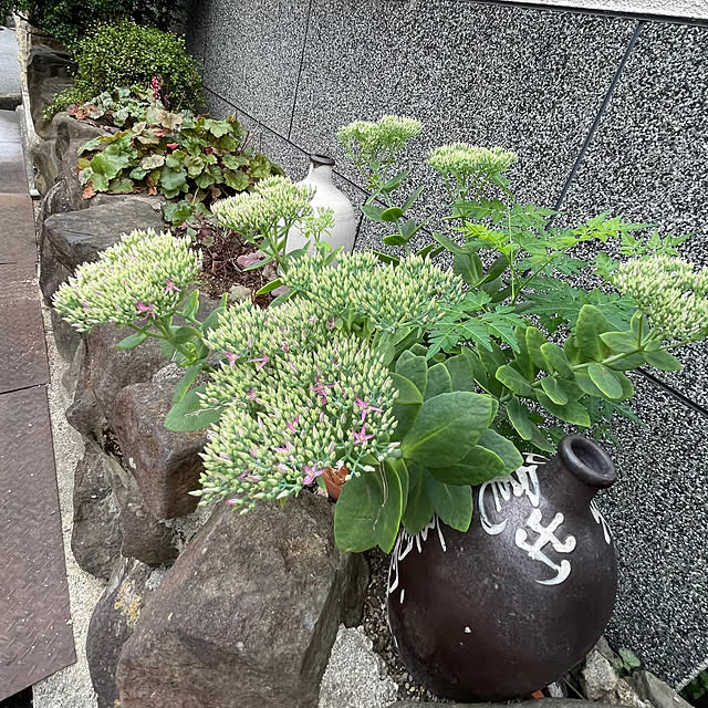buchiさんの部屋