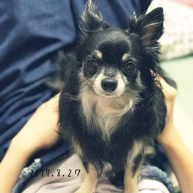 mockさんの実例写真