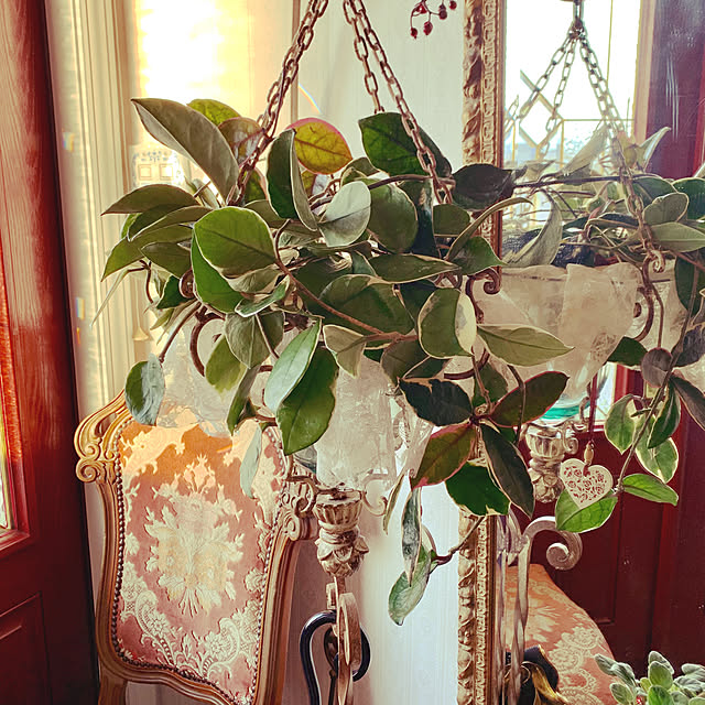 AYUKOさんの実例写真