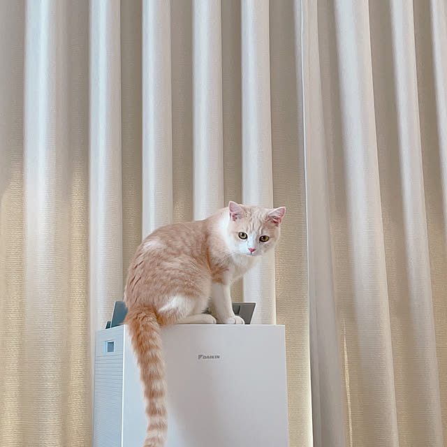 aさんの実例写真