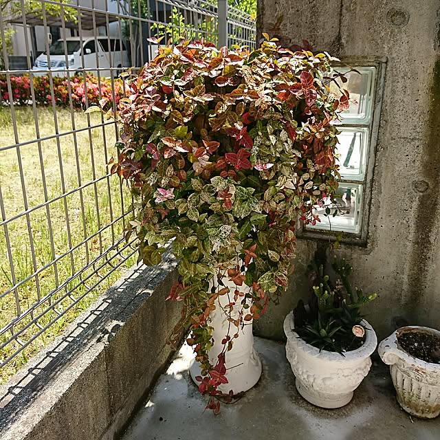 torao.jdさんの実例写真