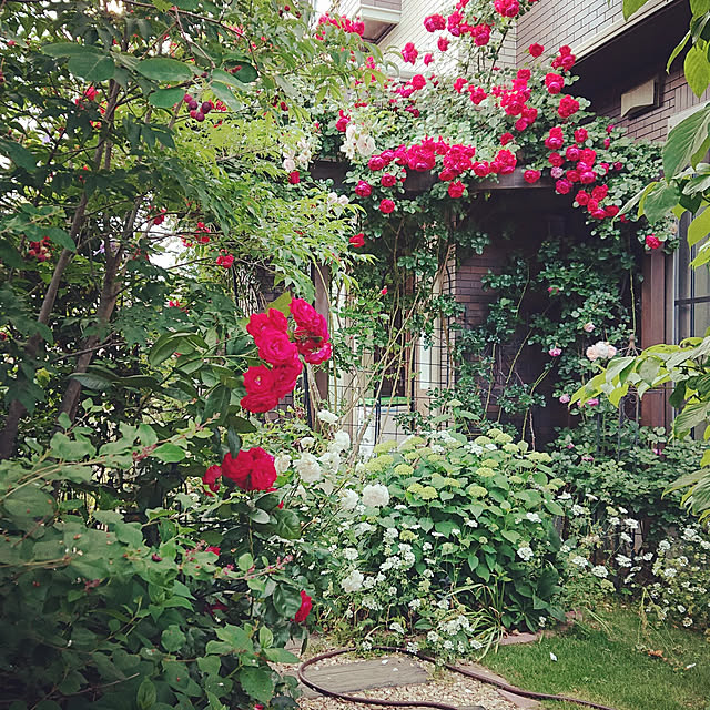 Reoさんの実例写真