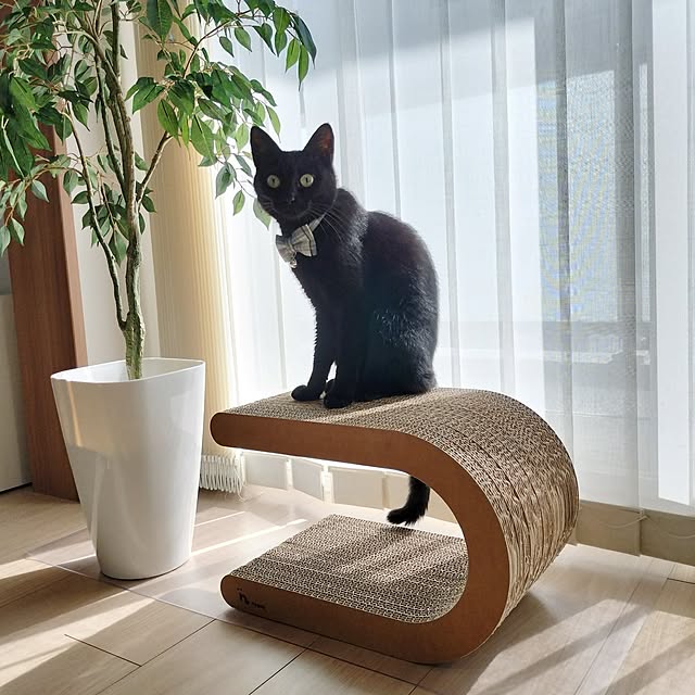 sakuraさんの部屋
