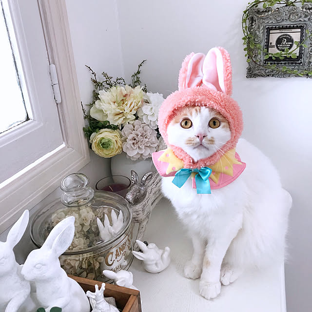 yuchiさんの実例写真
