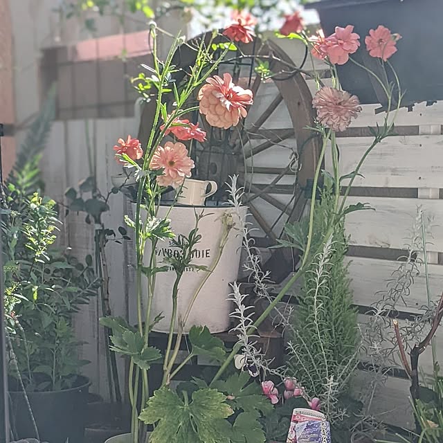 ichi.さんの実例写真