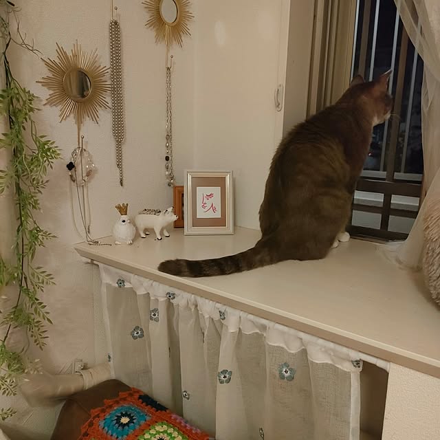 Yoko622さんの実例写真