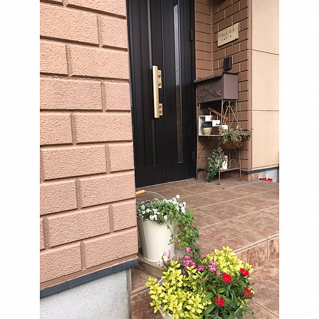 noriさんの実例写真