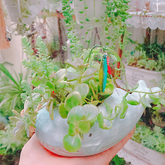 Hanakaさんの実例写真
