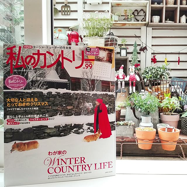 kokkomachaさんの実例写真