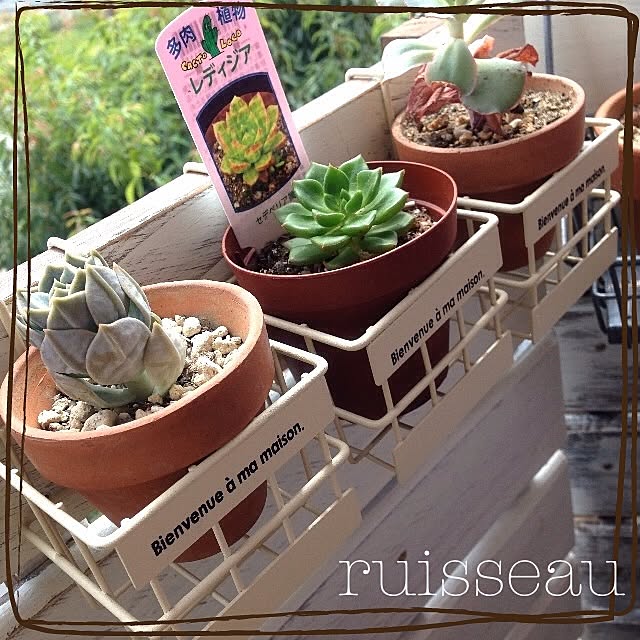 ruisseauさんの実例写真