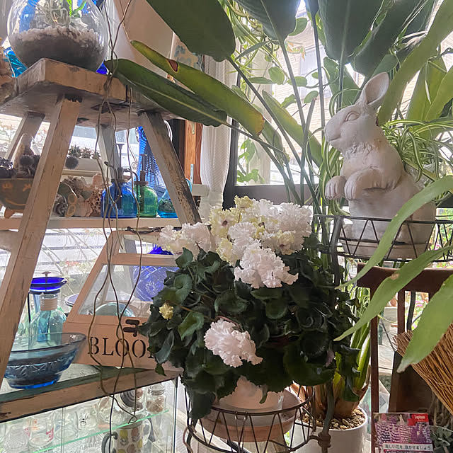 na-chanさんの部屋