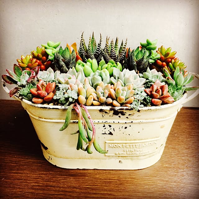 chieさんの実例写真