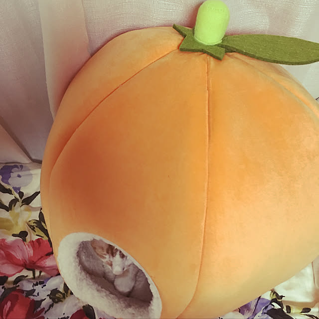 brbrnknkさんの実例写真