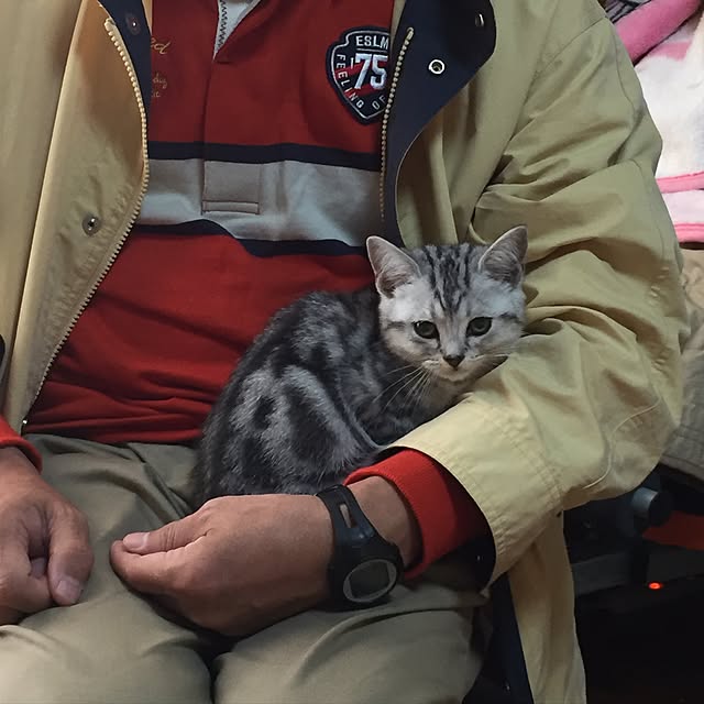tanutanさんの実例写真