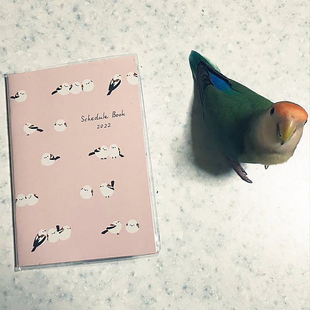 aoinokimiさんの実例写真