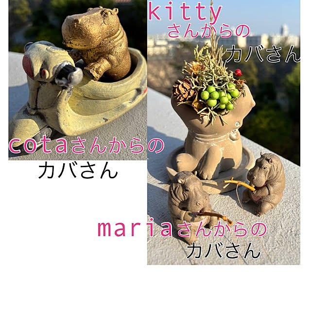 syutmmさんの部屋