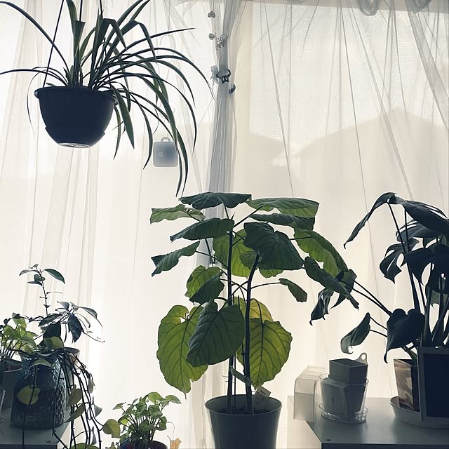 atelier.pale.blueさんの実例写真