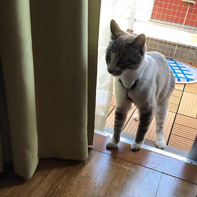 rasuさんの実例写真