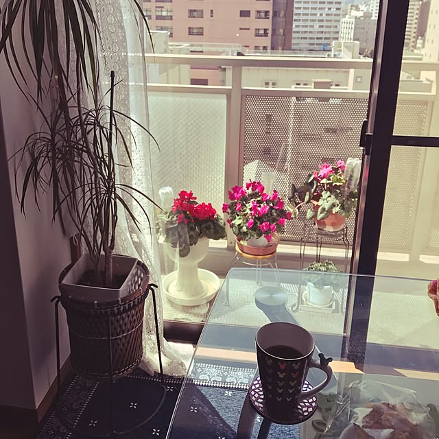 ayachincolochinさんの実例写真