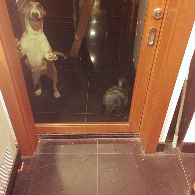 Thammaratさんの実例写真