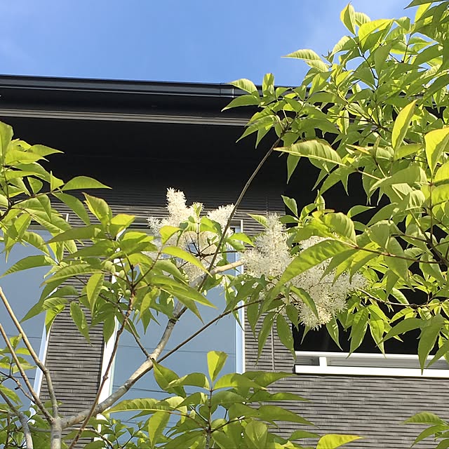 pandaさんの実例写真