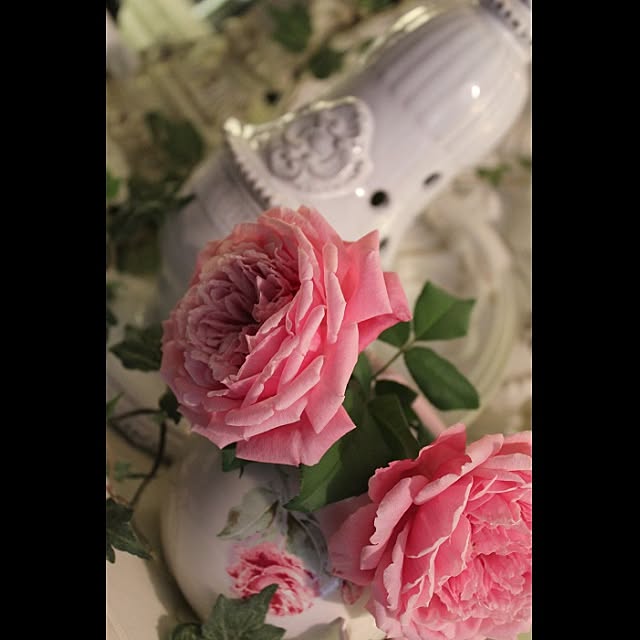 Noirさんの実例写真