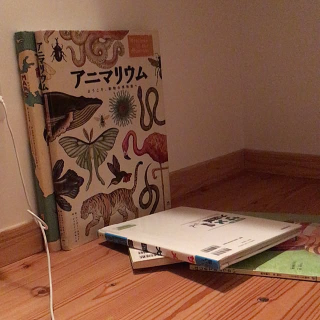 Norikoさんの実例写真