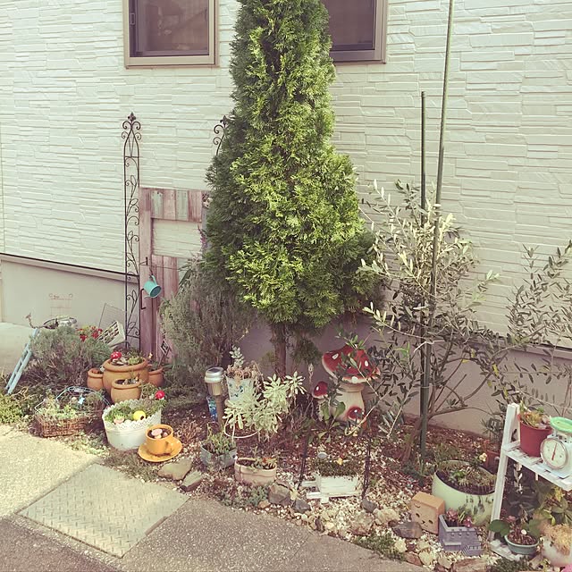bohさんの実例写真