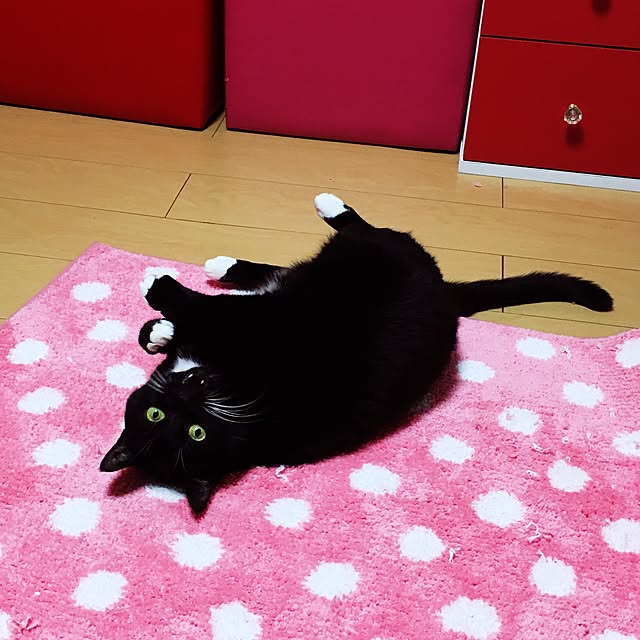 Hecacoさんの実例写真