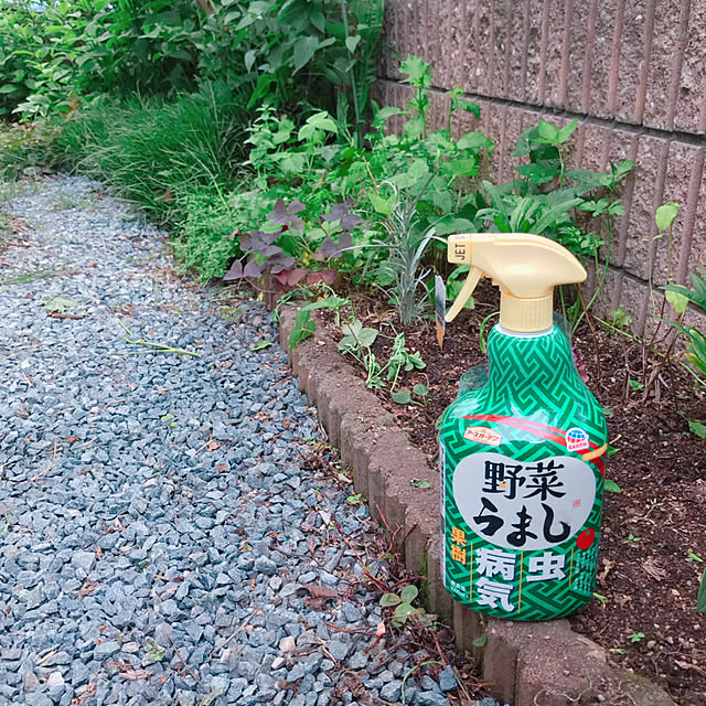 portulacaさんの実例写真