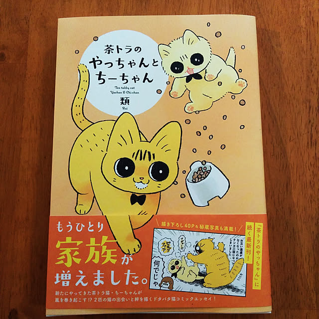 futukoさんの実例写真