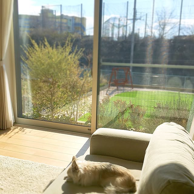yukie52さんの実例写真