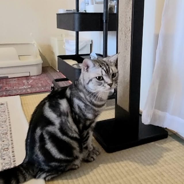 lovepeaceさんの部屋