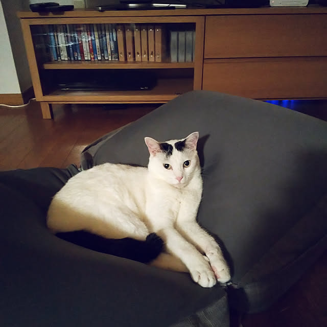yukieさんの実例写真