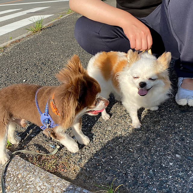 chIoeさんの部屋