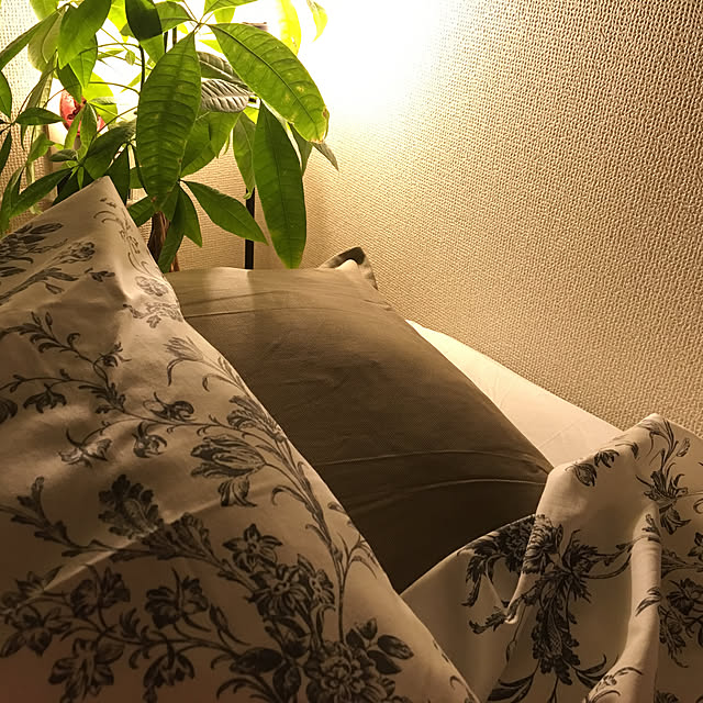 karinさんの実例写真