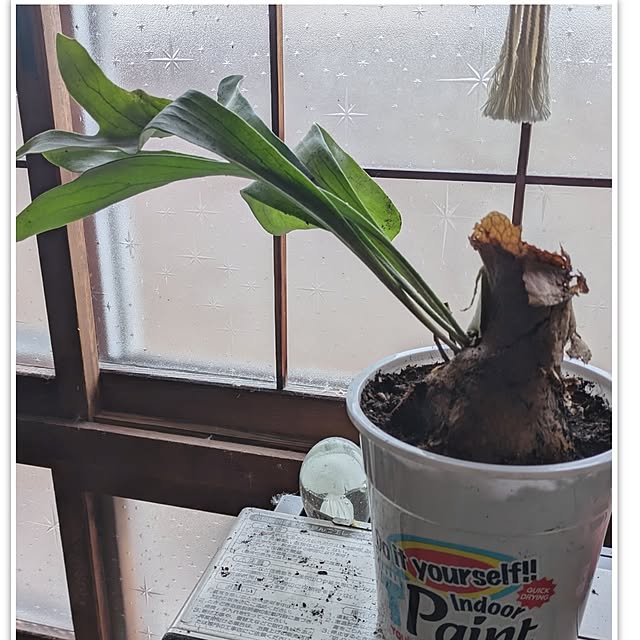monnさんの部屋