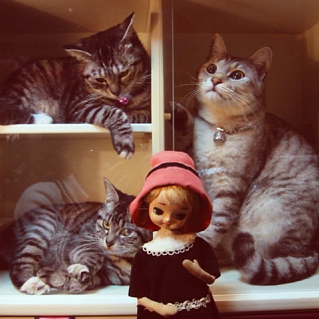 LaLaLaTaroさんの実例写真