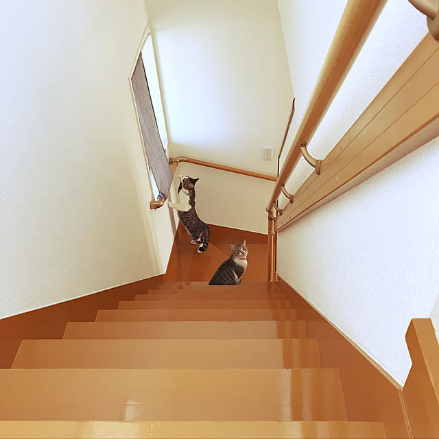 mugikoさんの実例写真