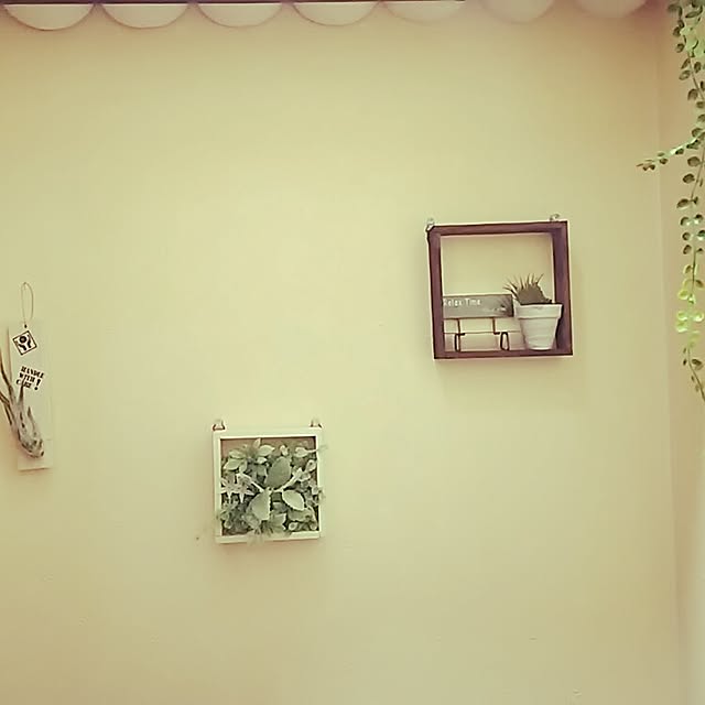 kazuminさんの実例写真