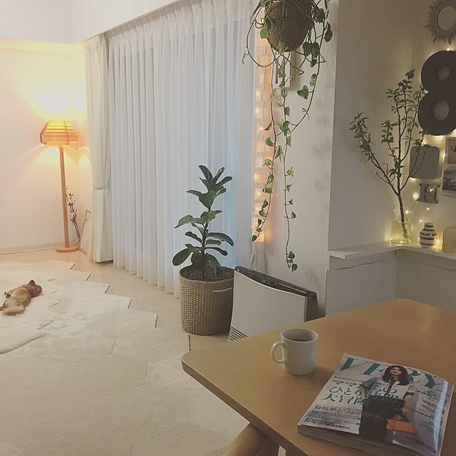 haruhinaさんの実例写真